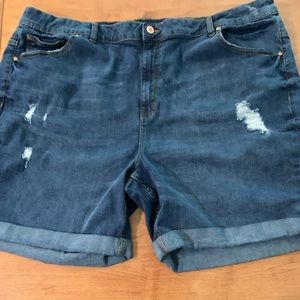 Denim Shorts plus size
